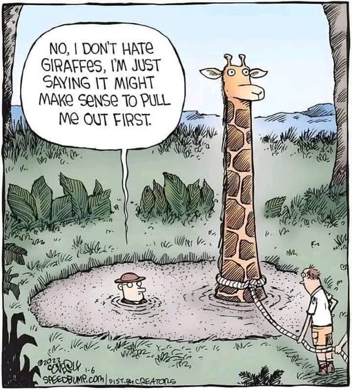 Giraffe in quicksand